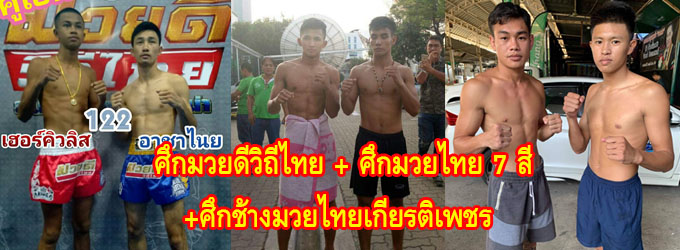 ศึกมวยดีวิถีไทย+ศึกมวยไทย7สี+ศึกช้างมวยไทยเกียรติเพชร