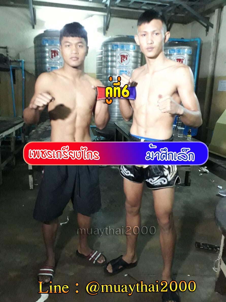 เพชรเกรียงไกร-ม้าศึกเล็ก